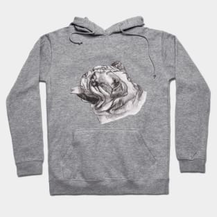 Classic English Bulldog Dog Profile Drawing Hoodie